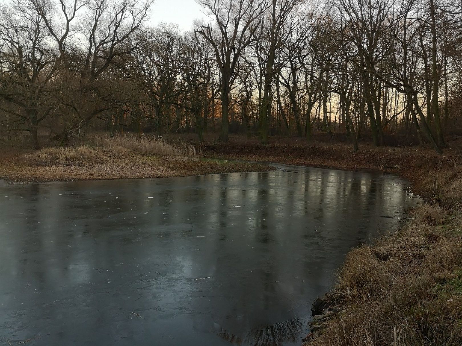 Alsenwasser (Eilenburg) angeln