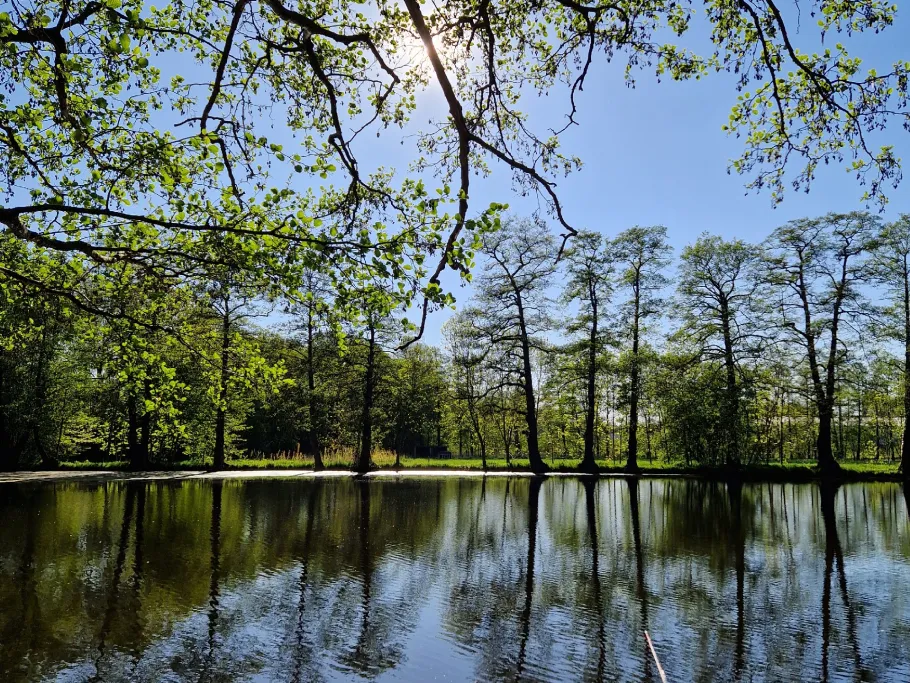 Hammermühlenteich (Großenhain) angeln