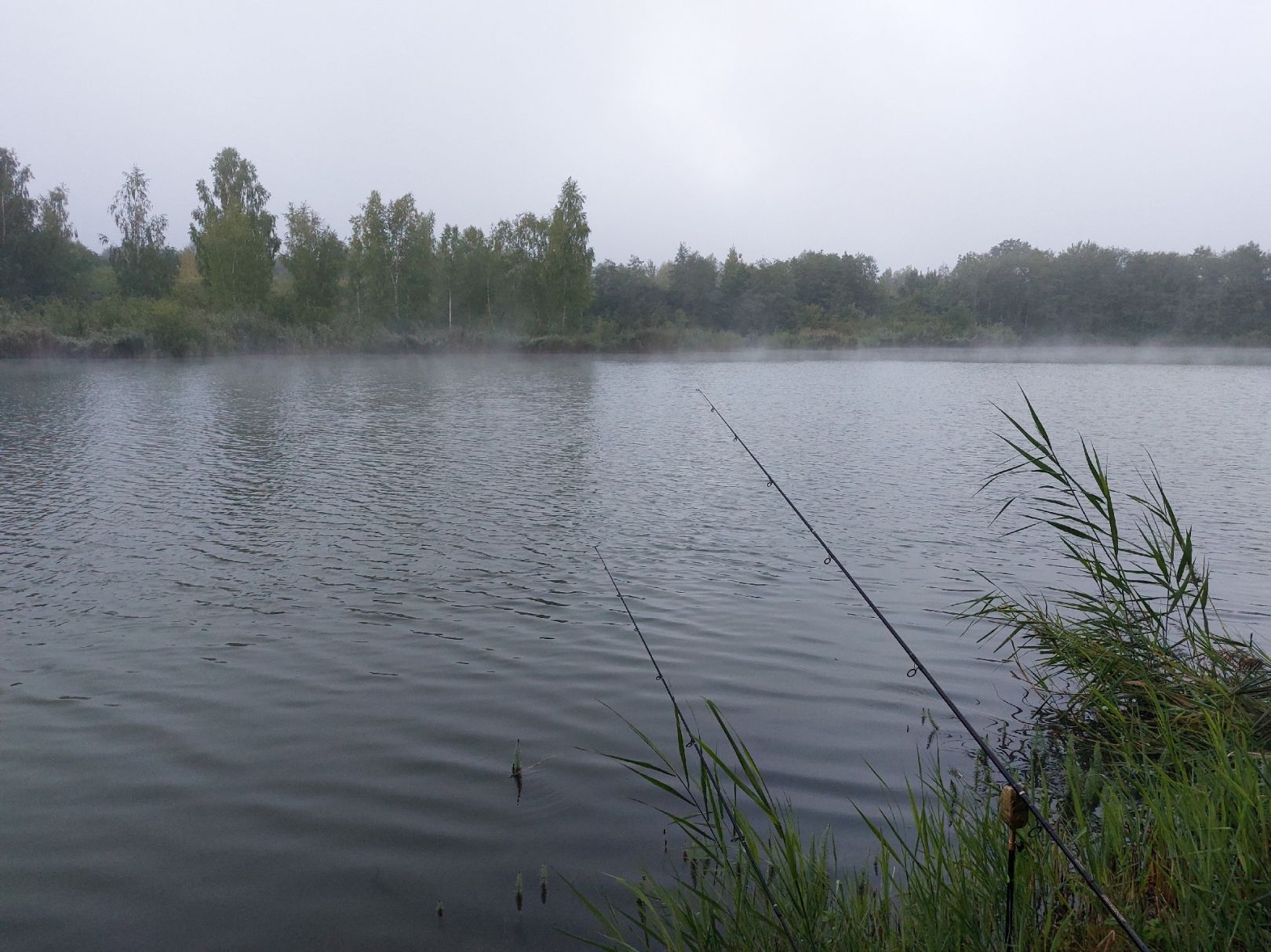 Baggersee Unterelchingen (FV Nersingen) angeln