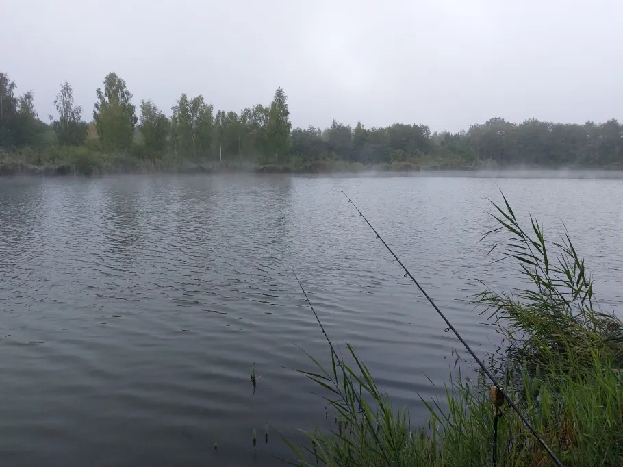 Baggersee Unterelchingen (FV Nersingen) angeln