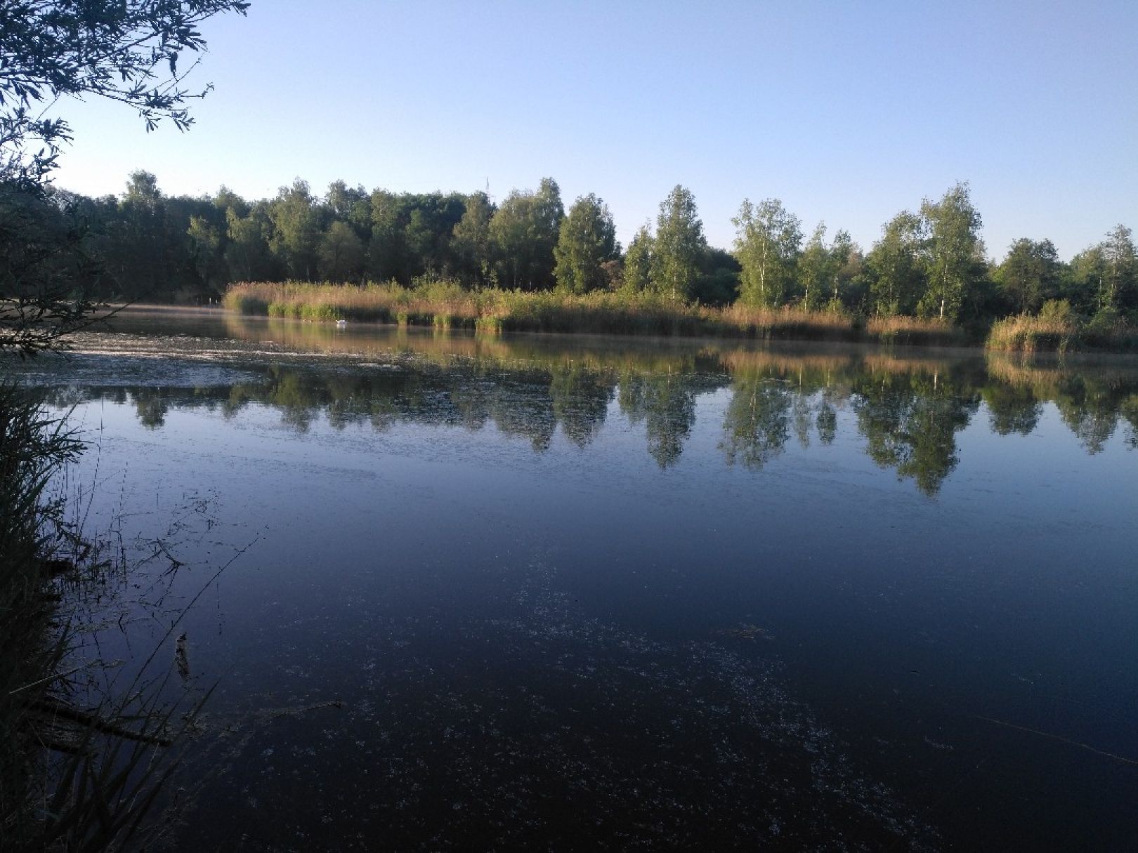 Baggersee Unterelchingen (FV Nersingen) angeln
