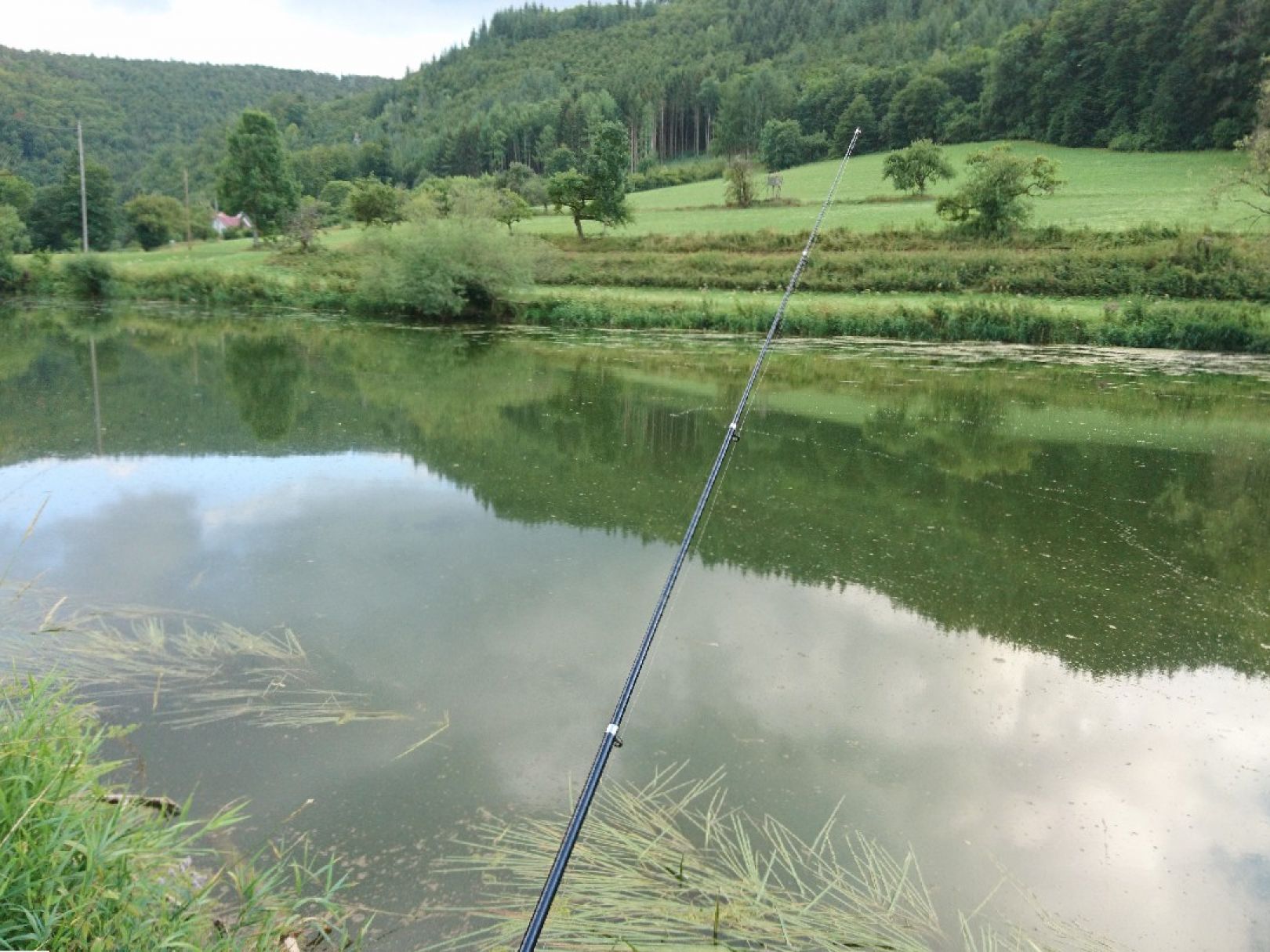 Angeln in Beuron