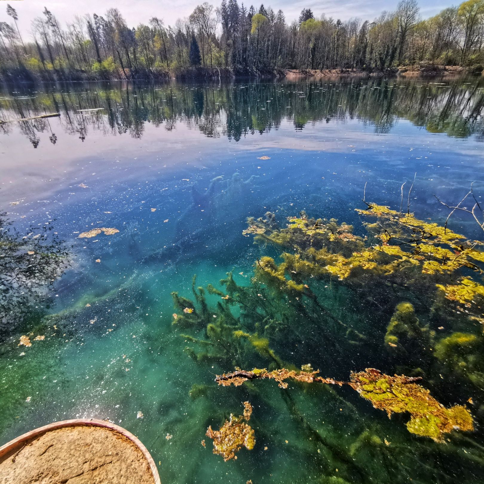 Wisterenweiher angeln