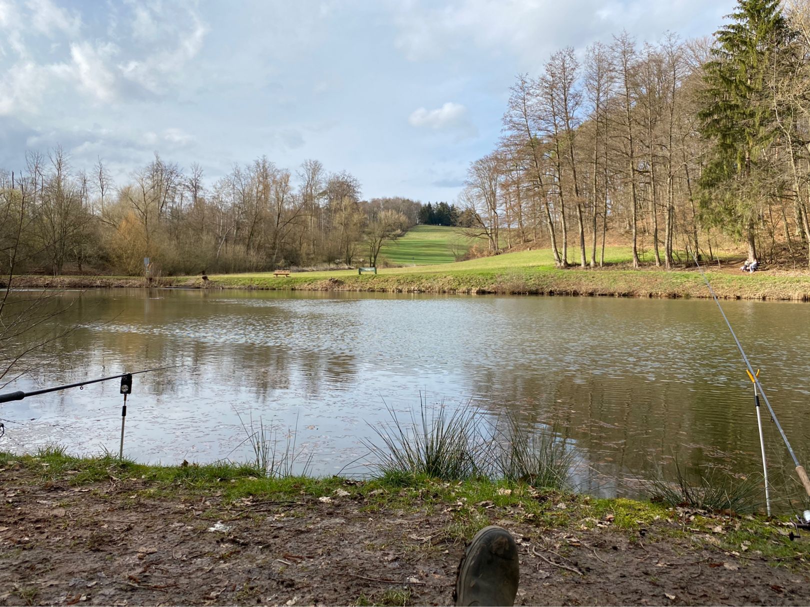 Hinterwaldteich (Brensbach) angeln