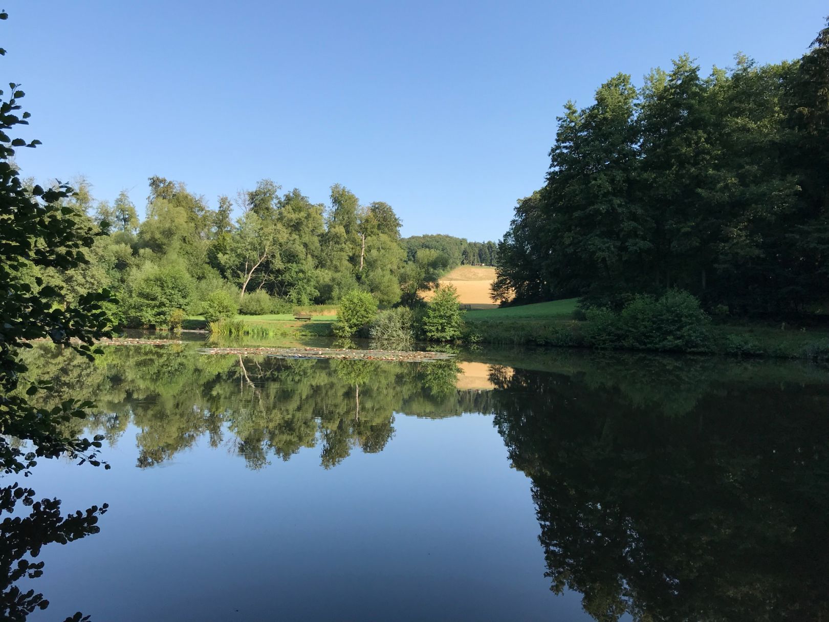 Hinterwaldteich (Brensbach) angeln