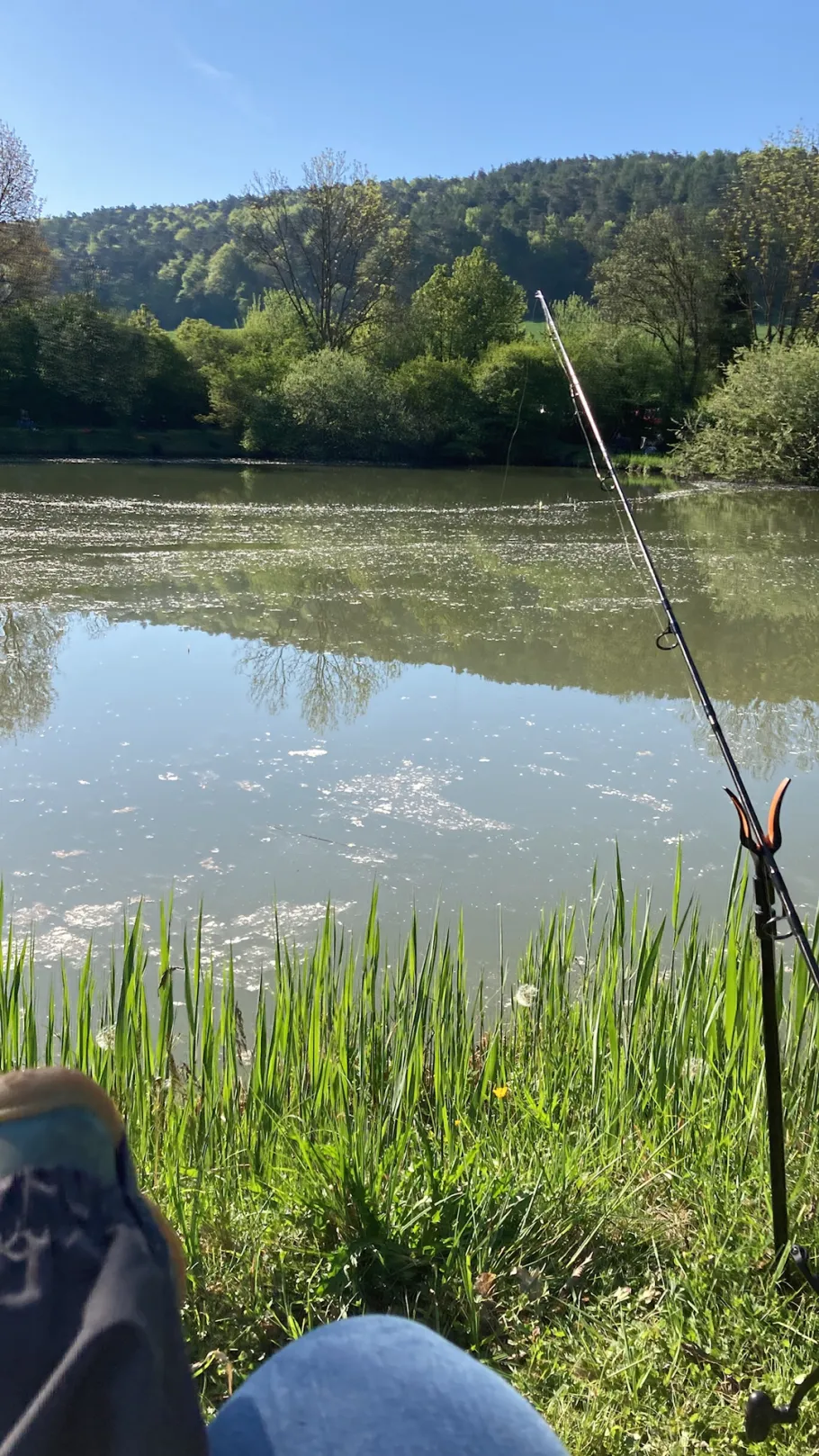 Teichanlage Obereschenbach angeln