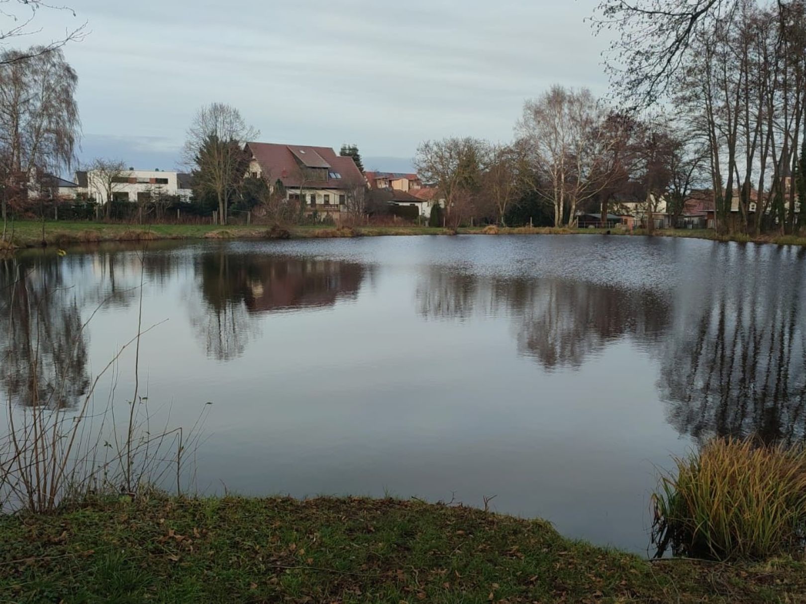 Törner See (Bülstringen) angeln