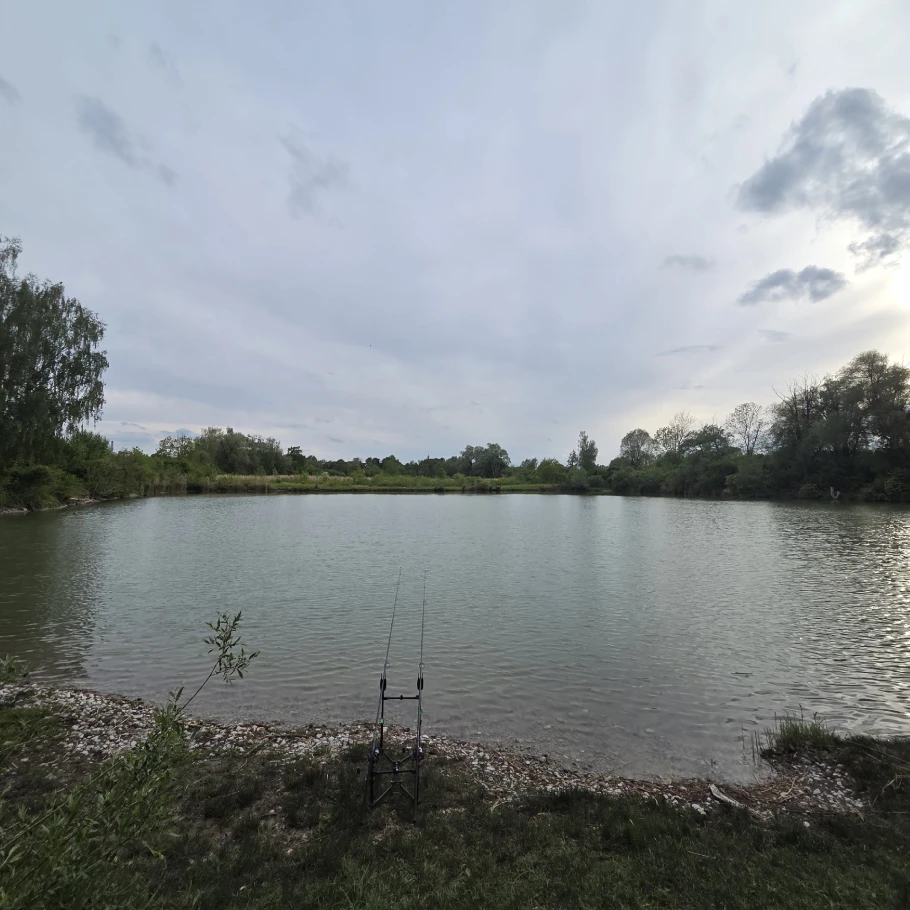 Vogtsee (Nersingen) angeln