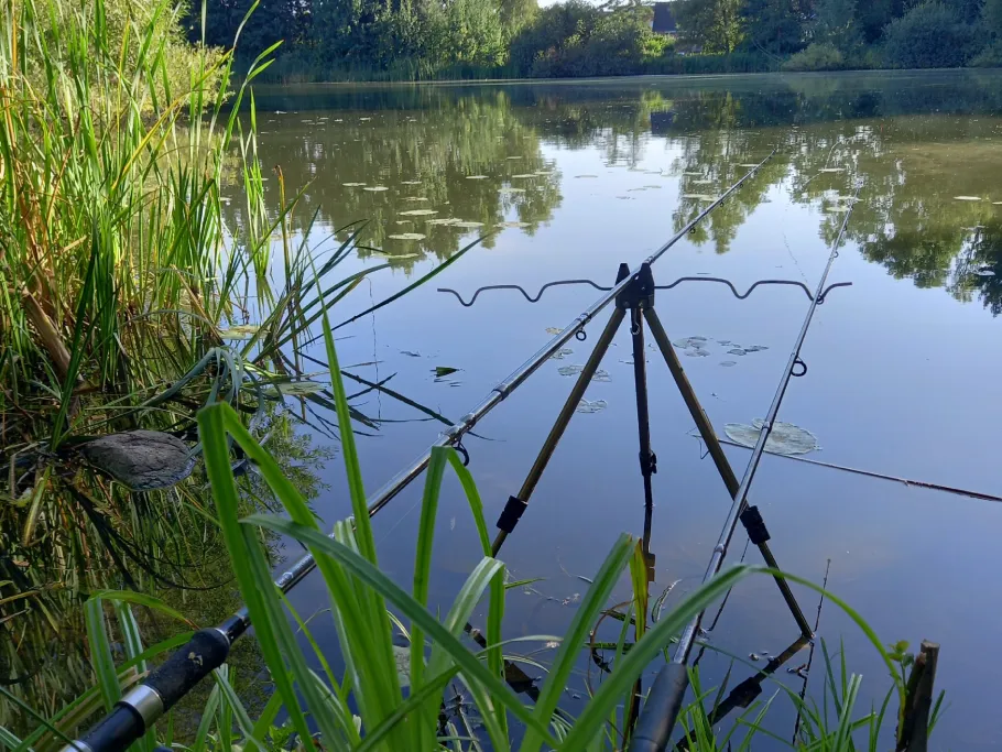 Mühlenteich Kiel angeln
