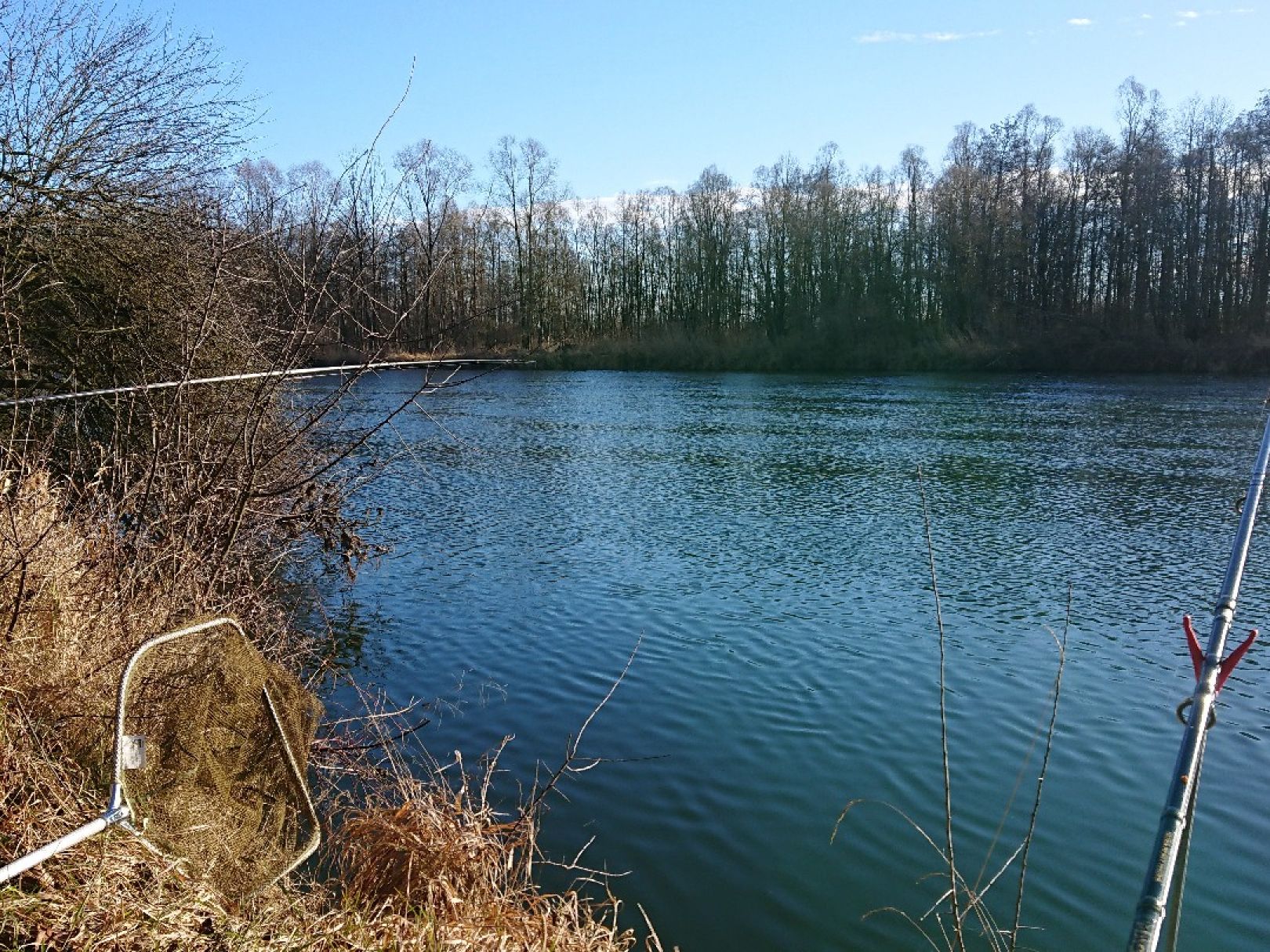 Donau (Schwenningen-Gremheim) angeln