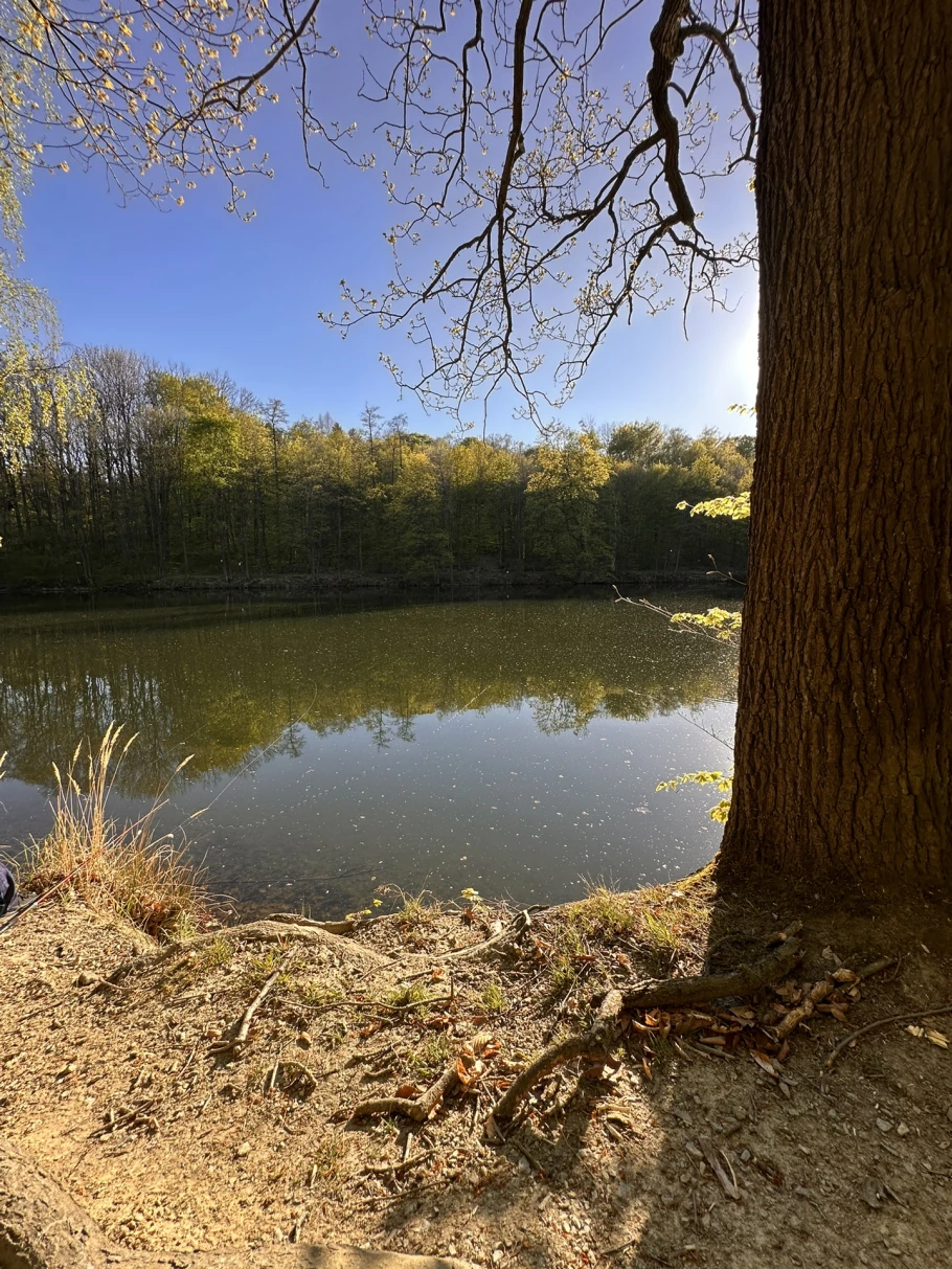 Krebsteich Tiefenbach (Gersdorf) angeln