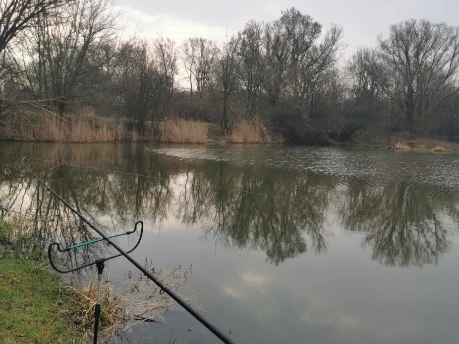 Saalealtarm Tippelskirchen angeln