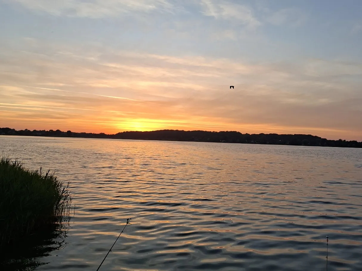 Schlei (Lindaunis) angeln