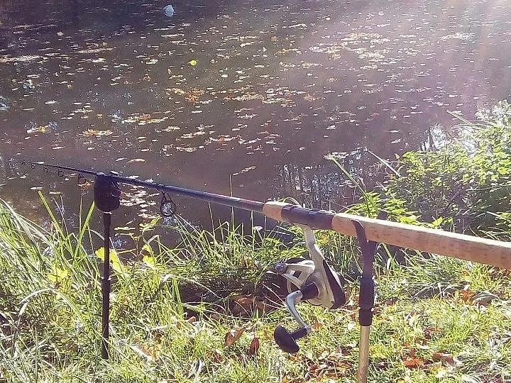 Dorfteiche Schweta angeln