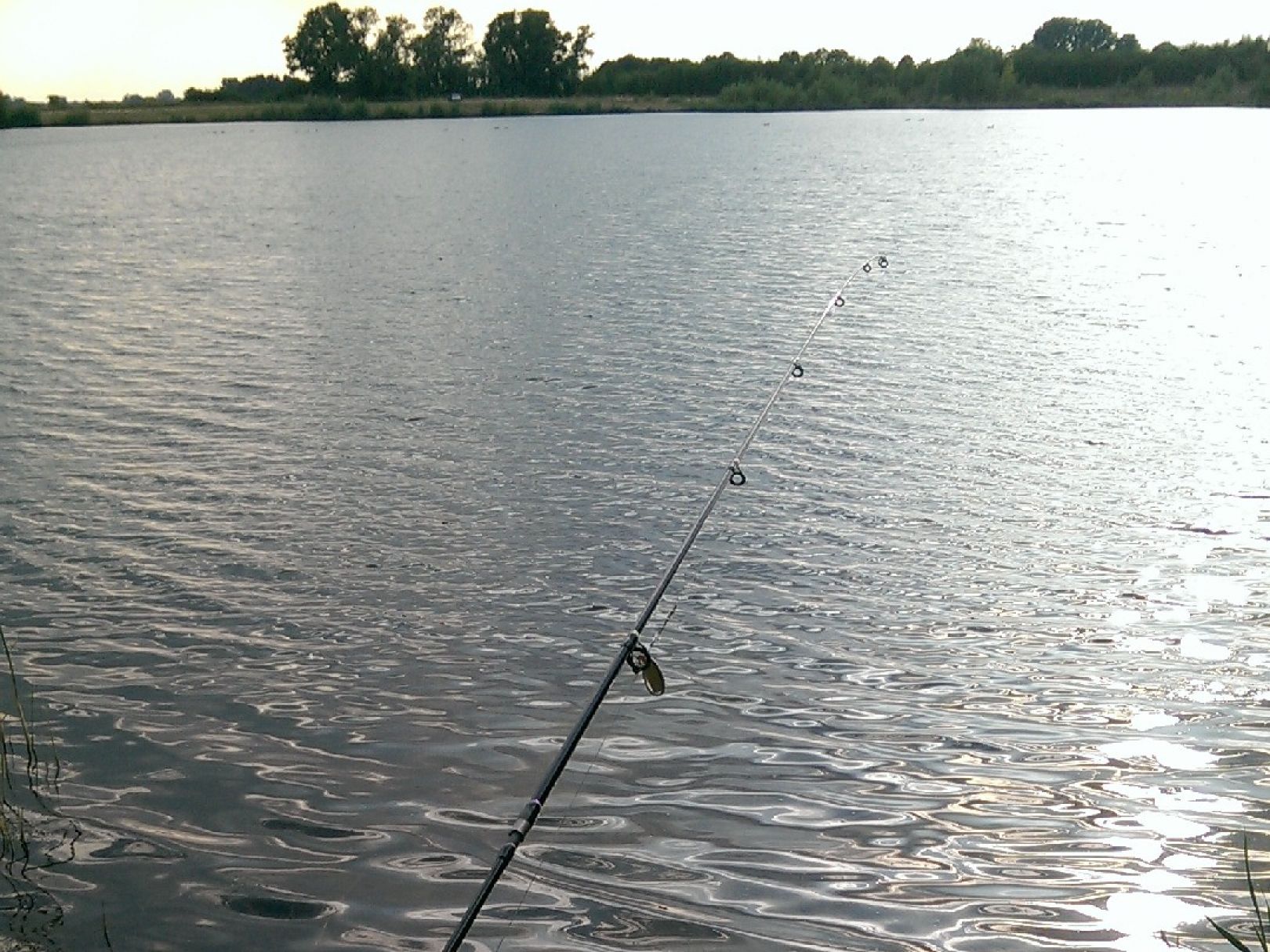 Leeser Teich angeln