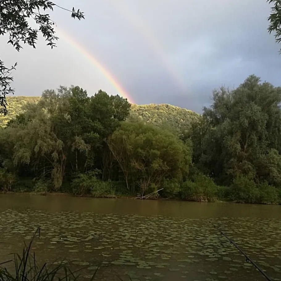 Mosel (Hatzenport) angeln