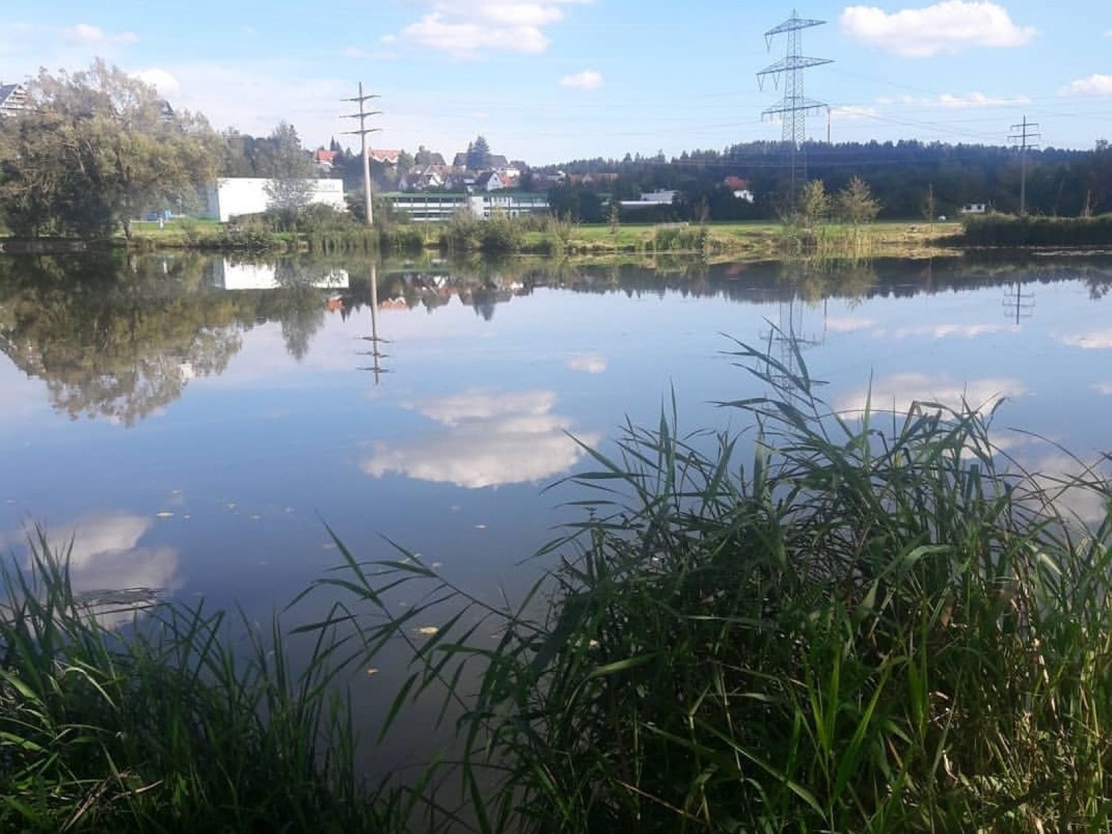 Marbacher Weiher angeln