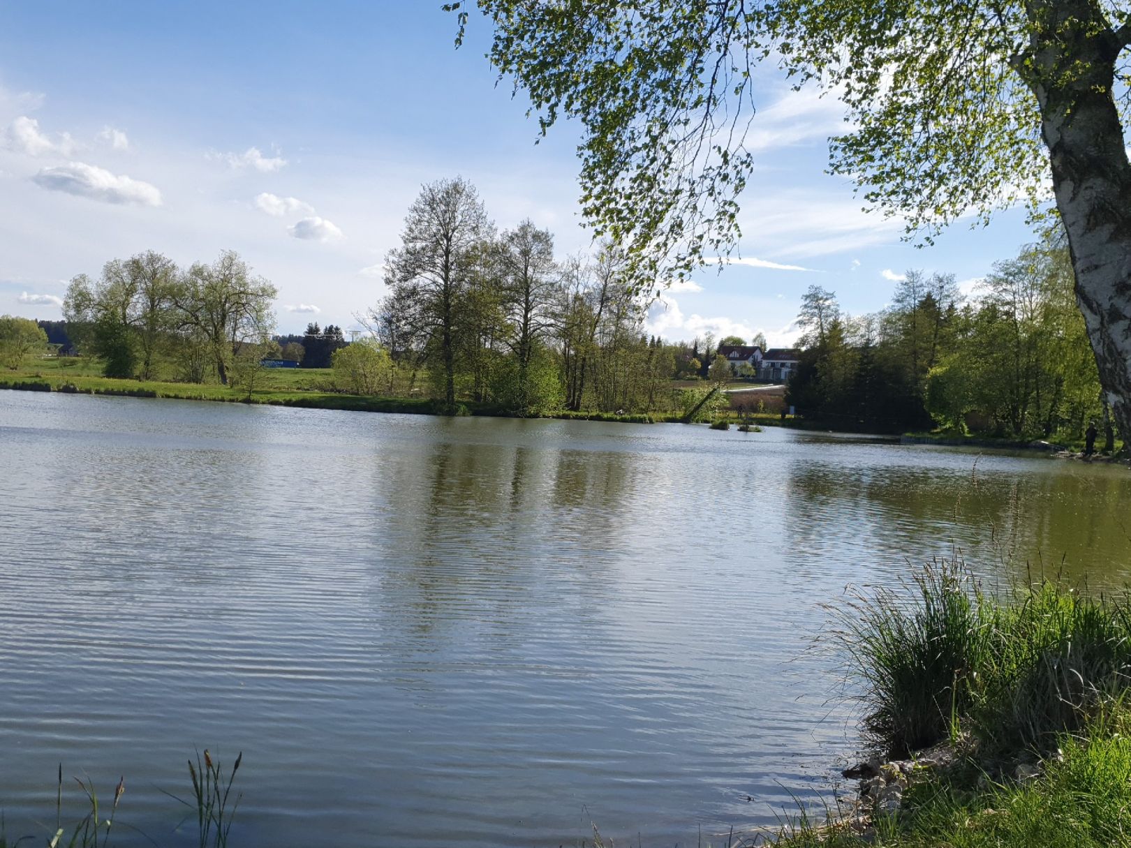 Marbacher Weiher angeln