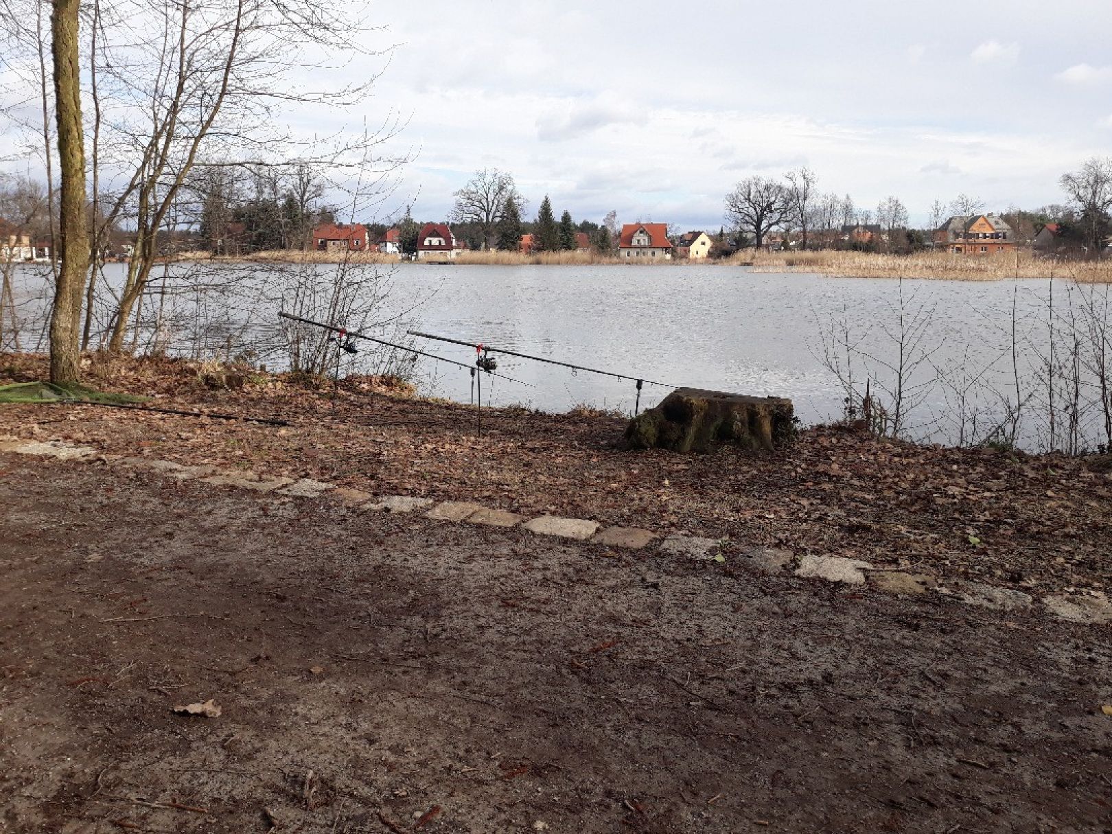 Schmelzteich (Bernsdorf) angeln