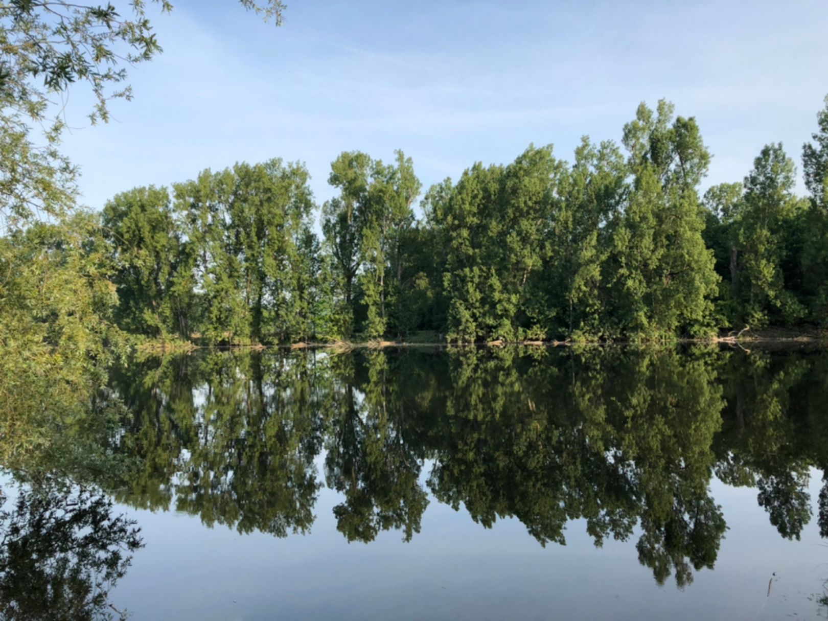 Heegwasser (Lampertheim) angeln