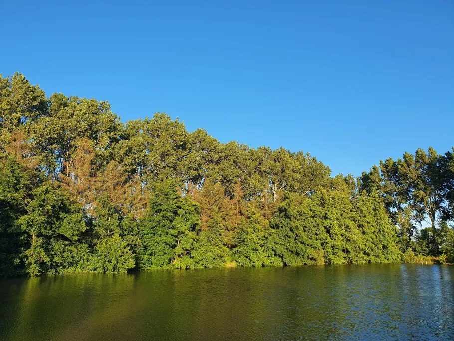 Emsteiche Driever angeln