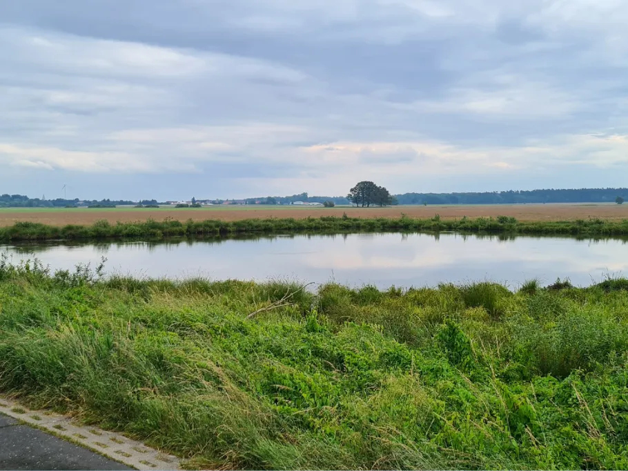 Torfstich Stechau angeln