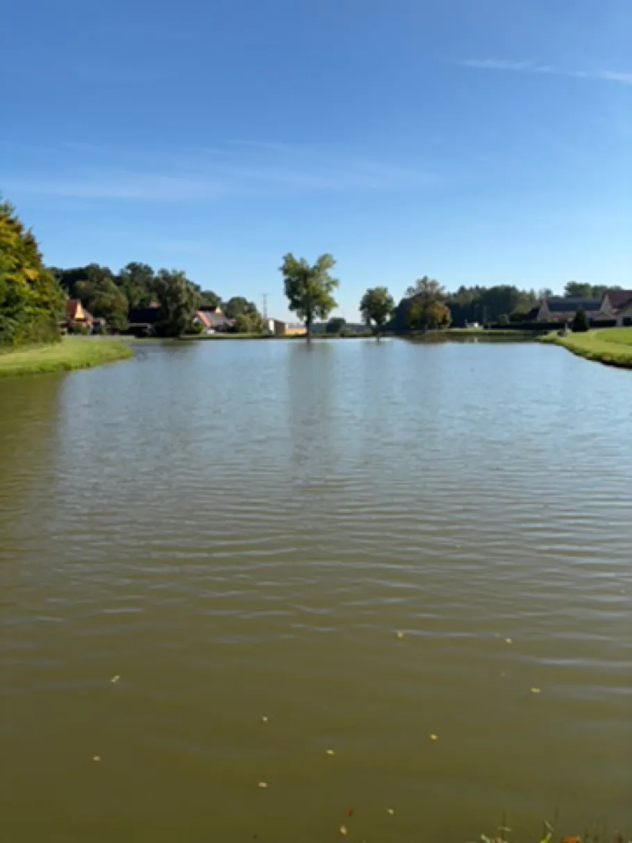 Hofweiher (Thürnhofen) angeln