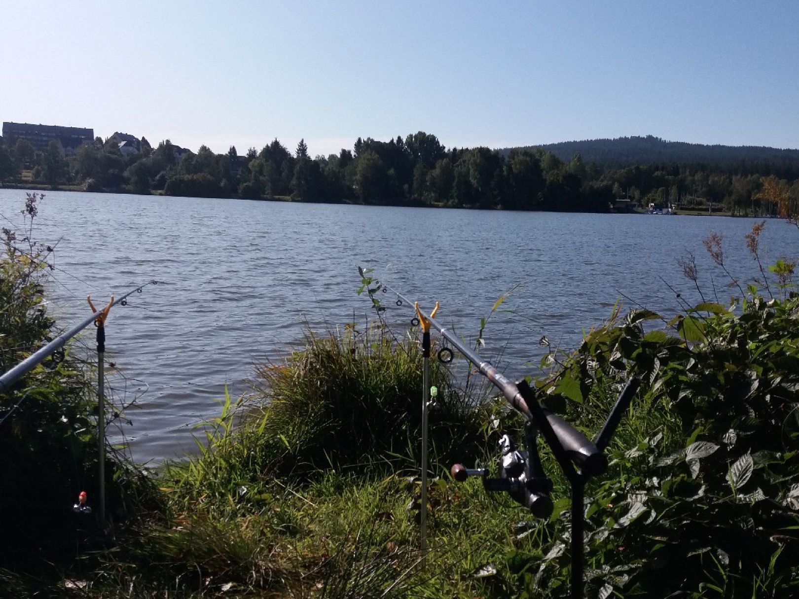 Weißenstädter See angeln