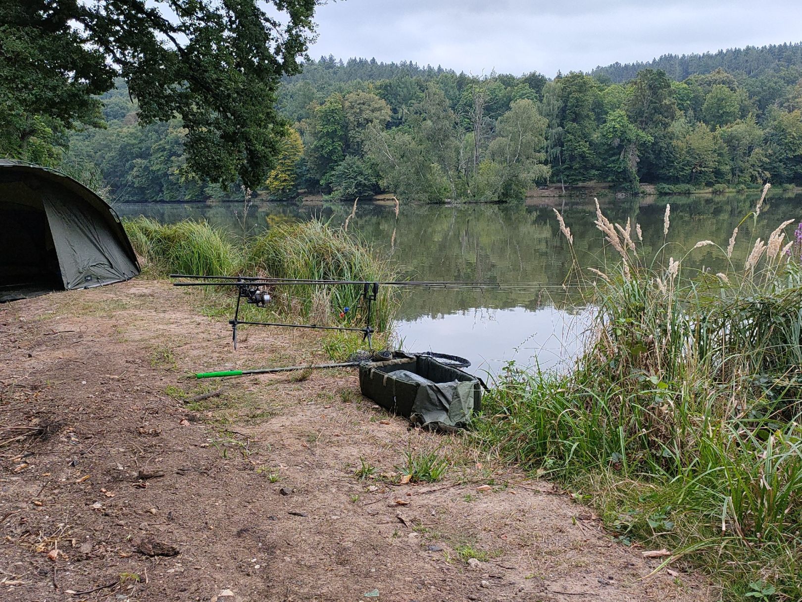 Thiergartenweiher (Büdingen) angeln