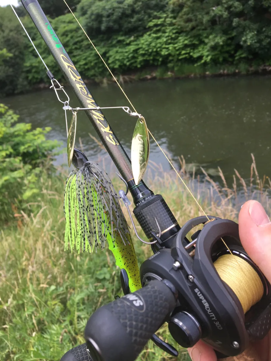 Hase (Bersenbrück) angeln
