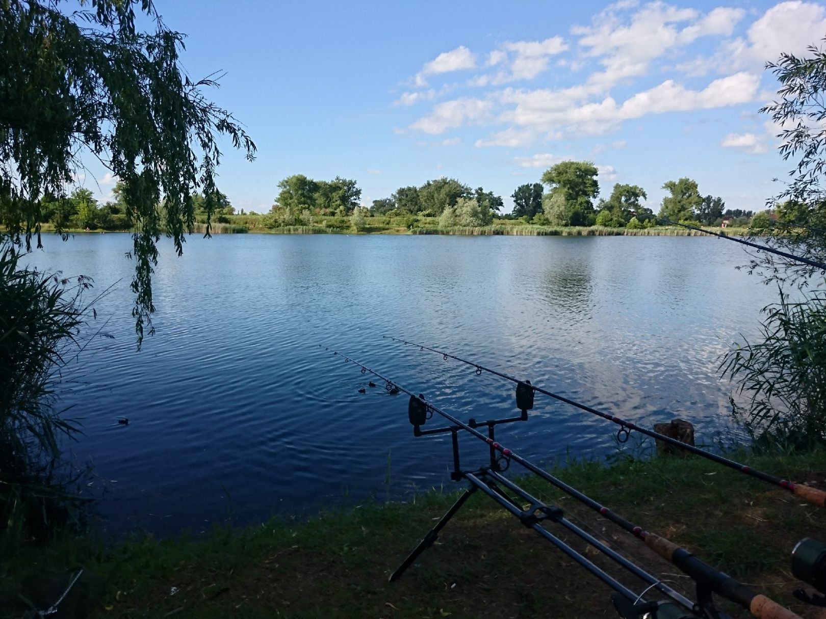 Kiessee Leubingen angeln