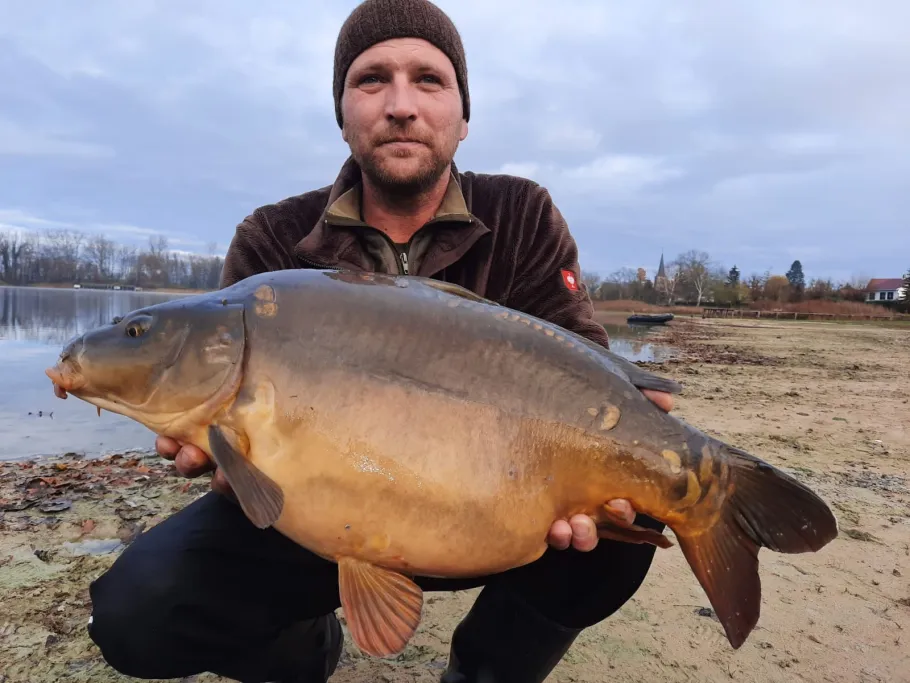 Karpfenlöcher Havelberg angeln