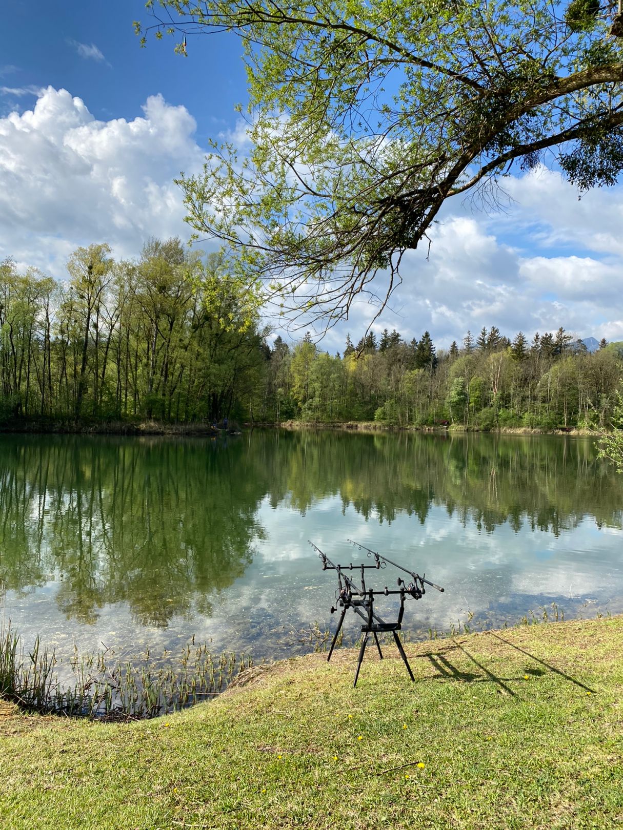 Reischenharter See angeln