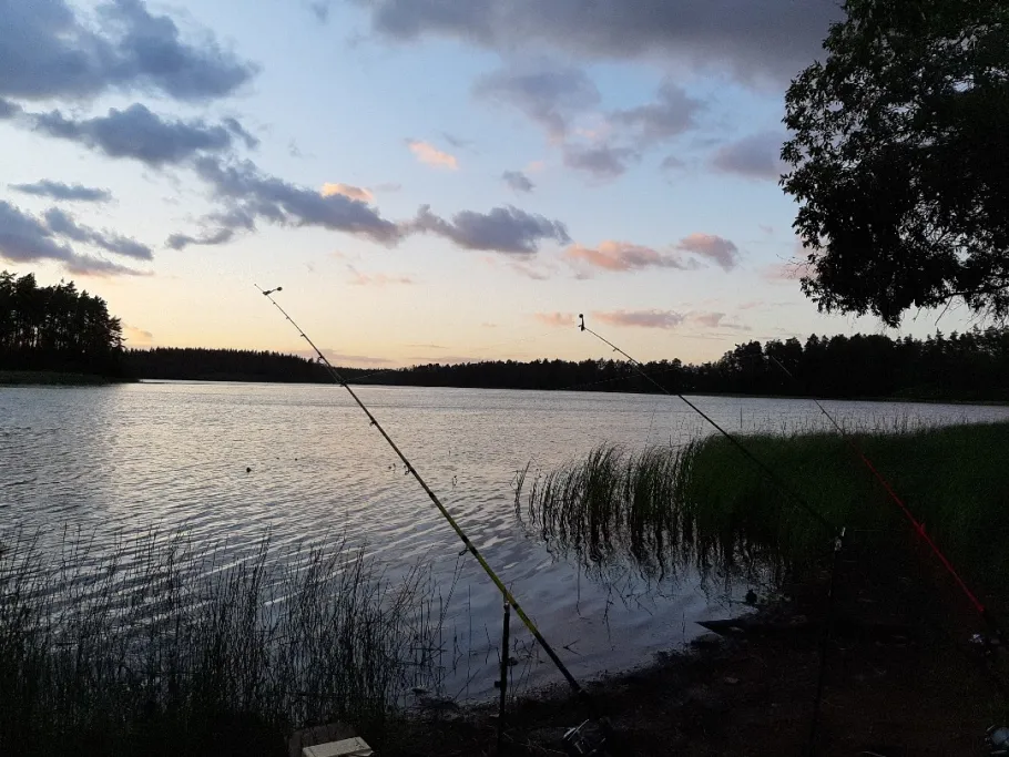Store sjö (Hishult) angeln