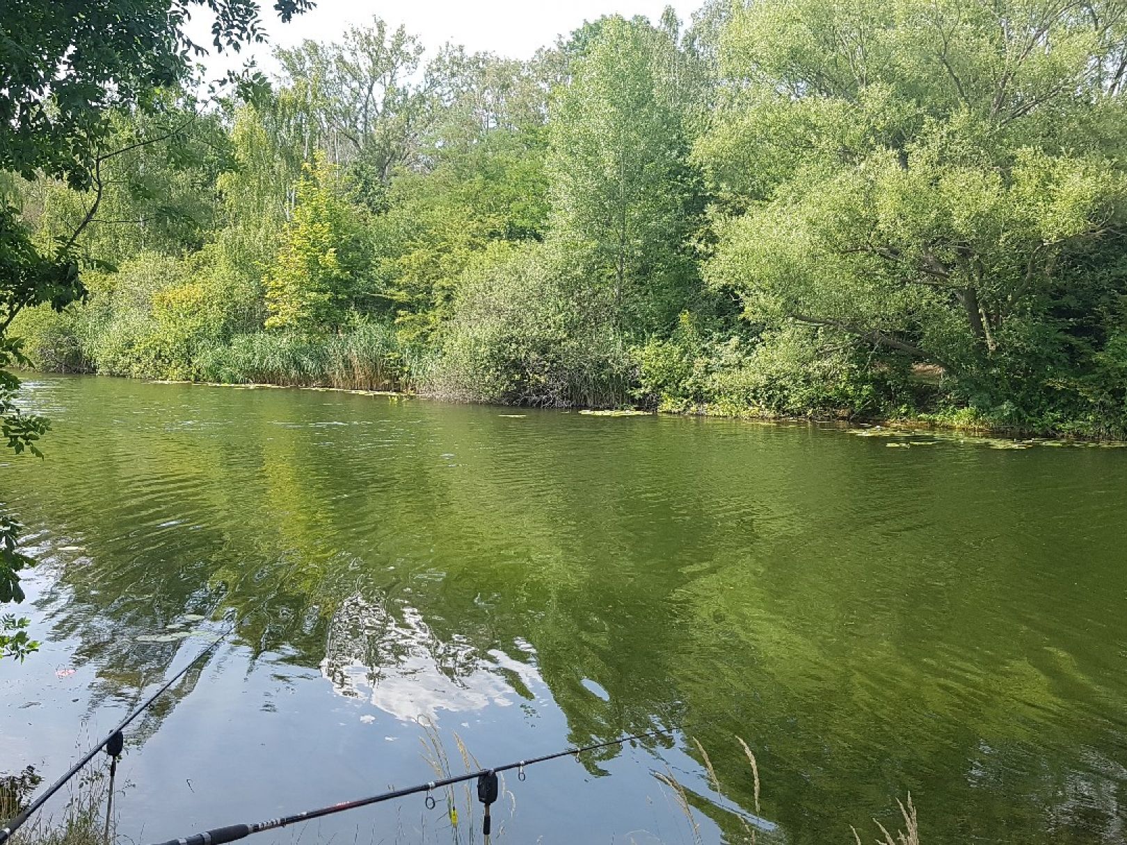 Saale-Leipzig-Kanal (Leipzig-Rückmarsdorf) angeln