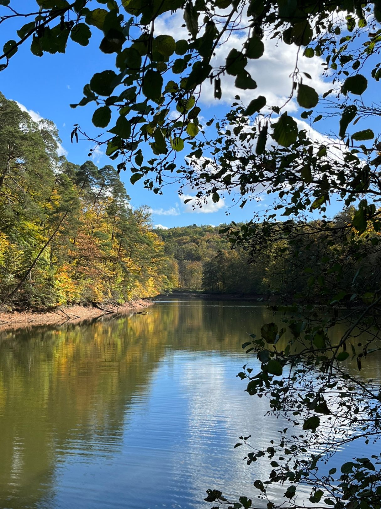 Neuer See (Stuttgart) angeln