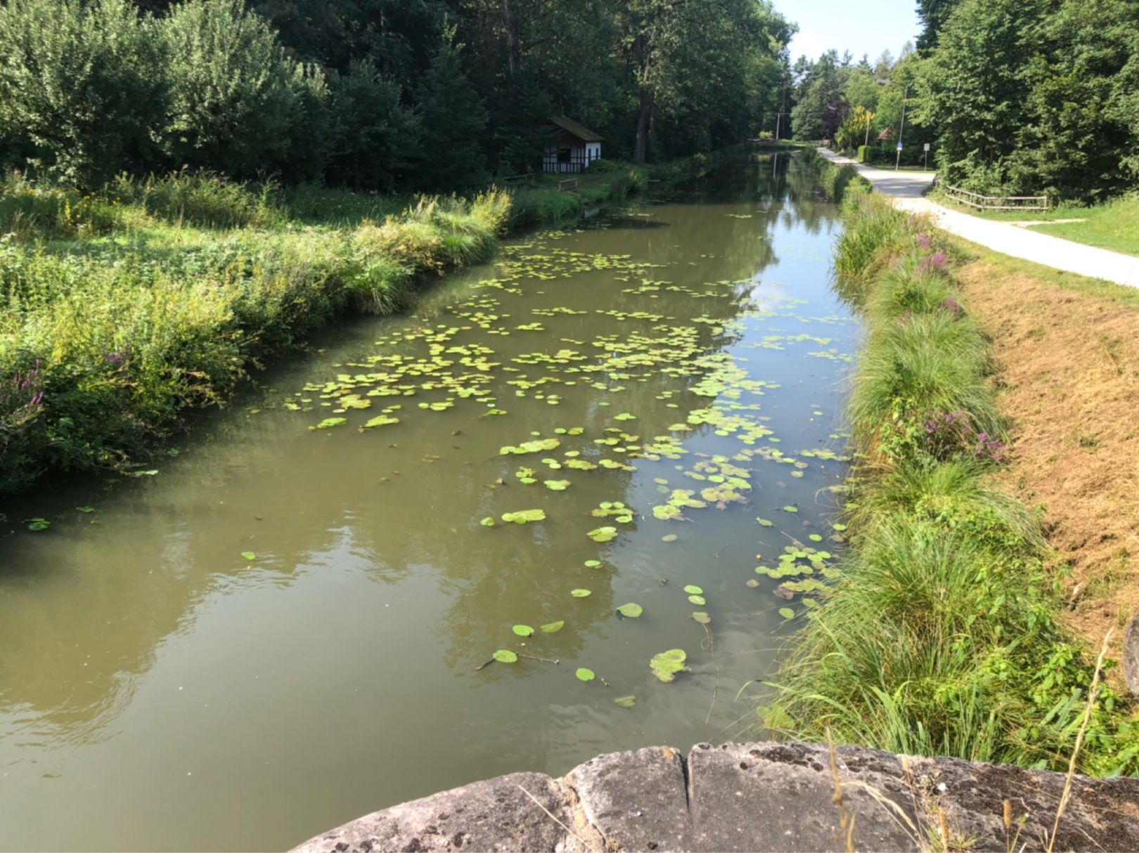 Ludwig-Donau-Main-Kanal (Lindelburg) angeln