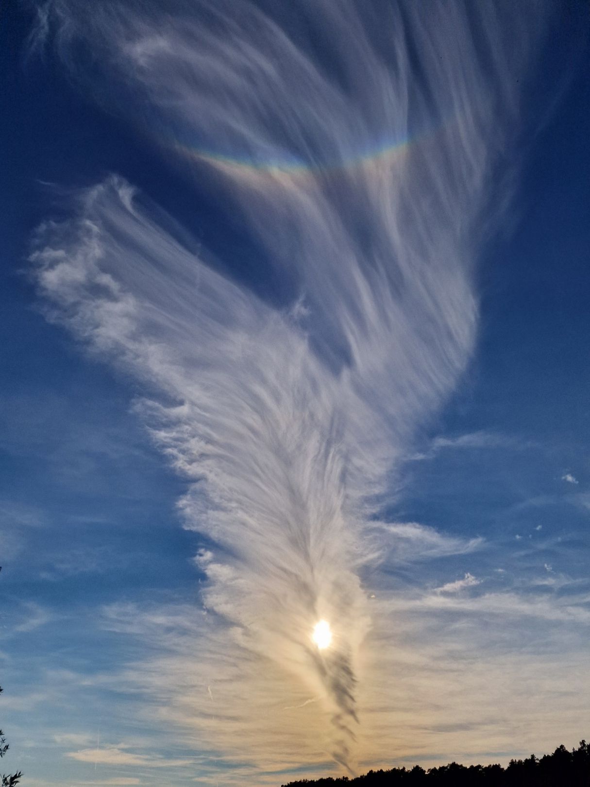 Angeln in Schenkendöbern