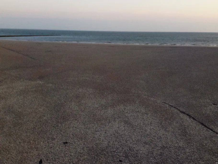 Nordsee (Borkum) angeln