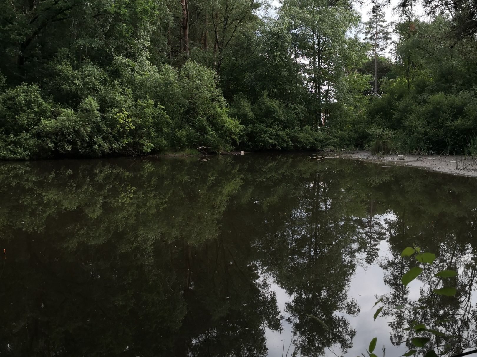Granziner Waldteich angeln