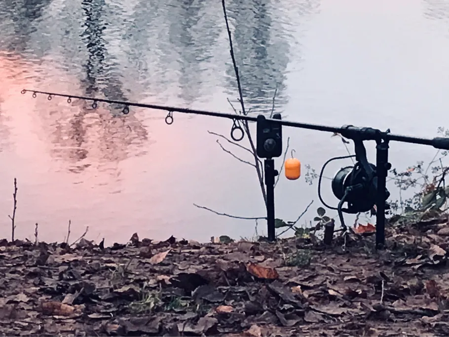 Talsperre Kriebstein angeln