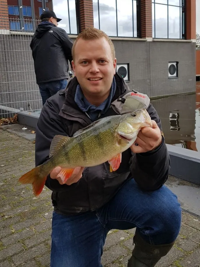 Zaan (Zaandam) angeln