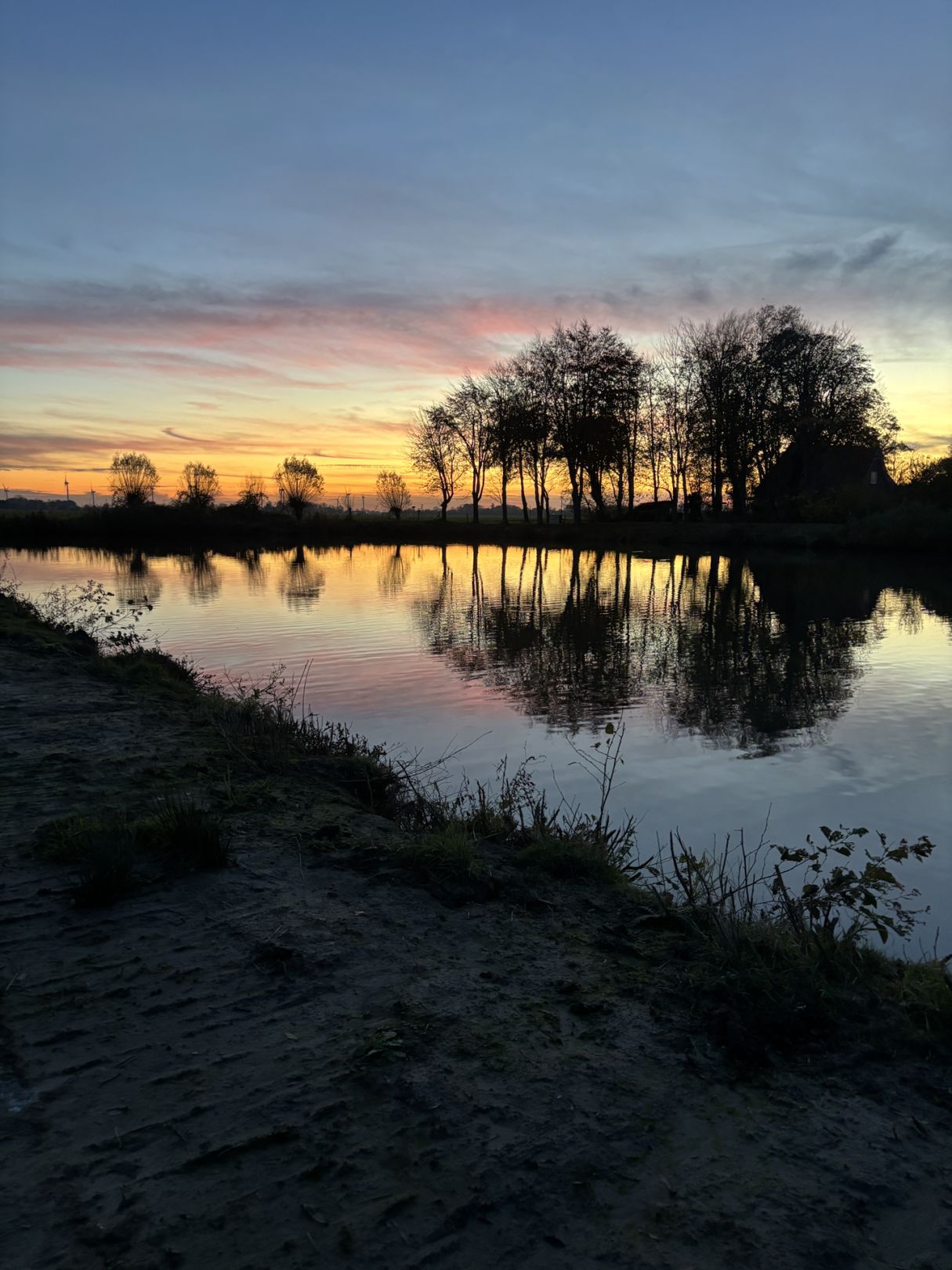 Freiburger Teich angeln