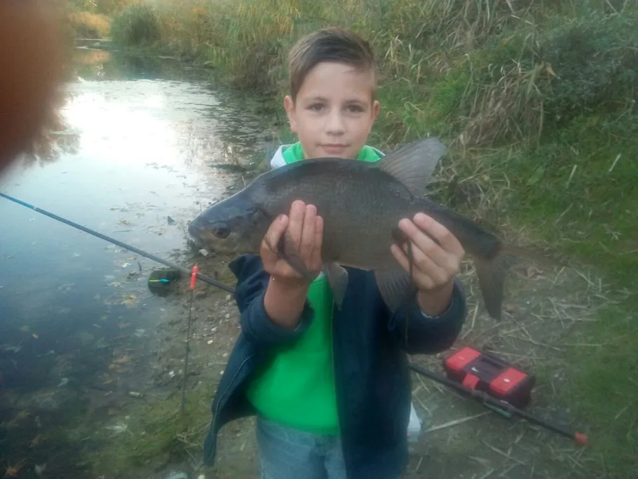 Colphus (Barby/Elbe) angeln