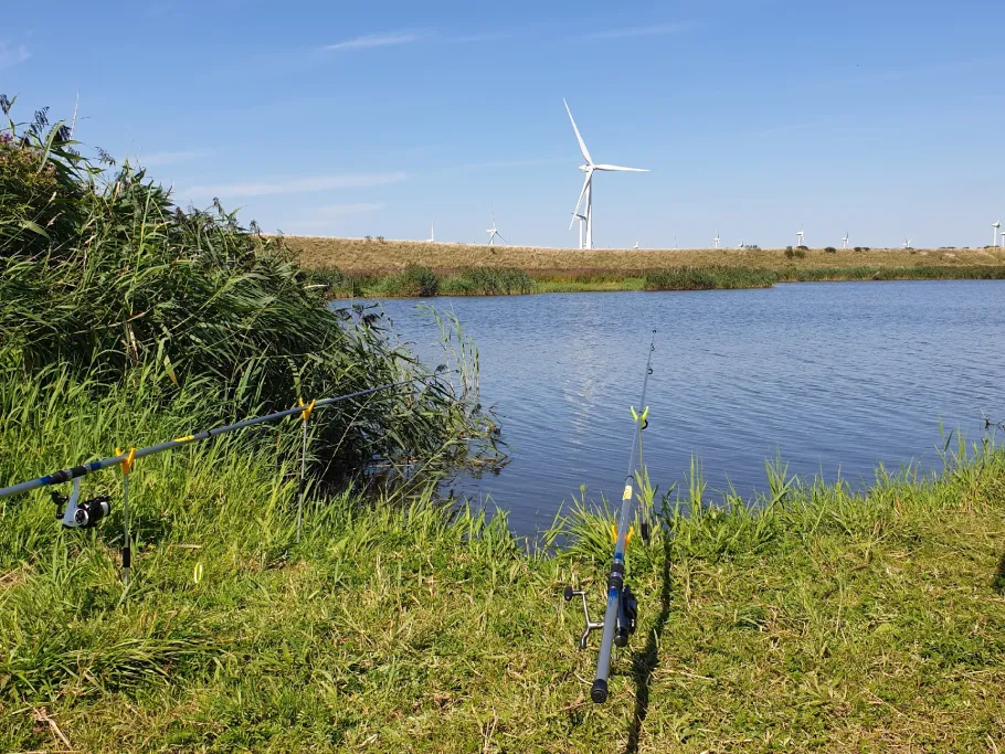 Große Wehle (Struckum) angeln