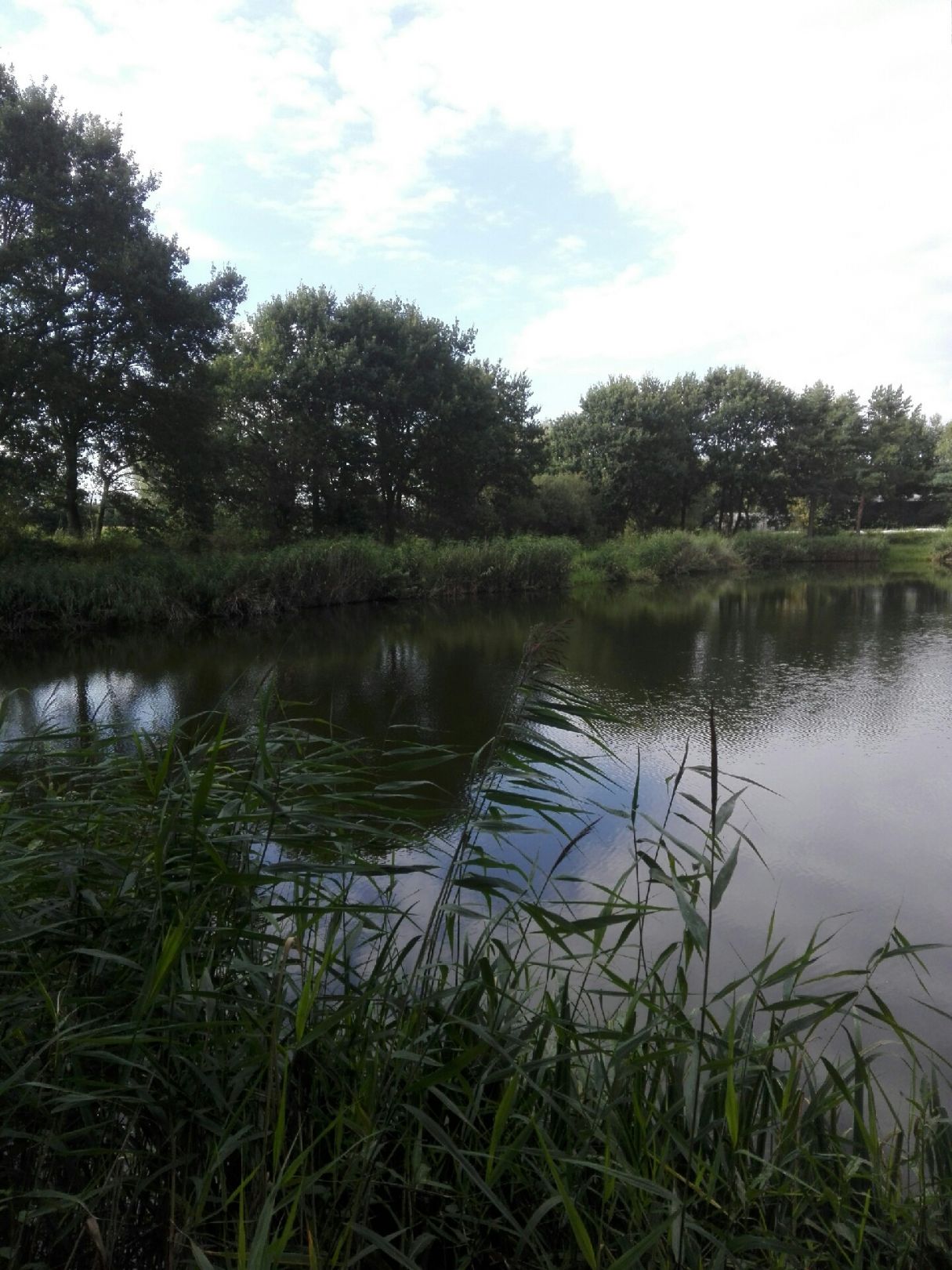 Bultteiche (Winsen/Luhe) angeln