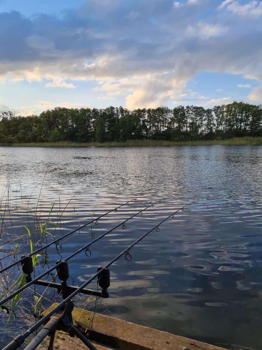 Grimmsee (Serrahn) angeln