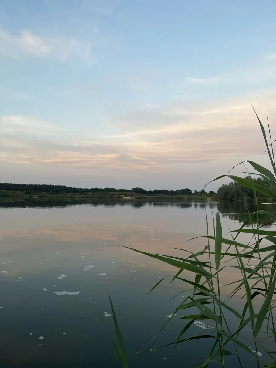 Neue Kieskuhlen Eicklingen angeln