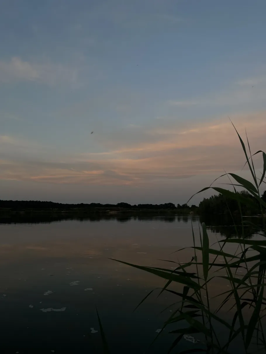 Neue Kieskuhlen Eicklingen angeln