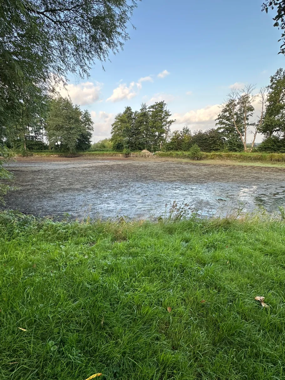 Teichanlage Natendorf angeln